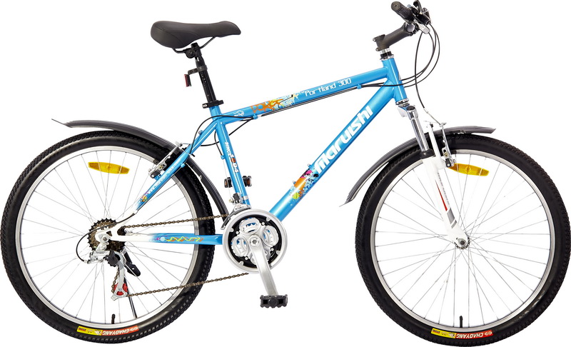Sơn xe đạp màu gì đẹp nhất và hợp phong thủy?